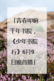 青春叩响千年书院，《少年书院行》6月9日晚首播